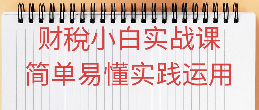 财稅小白实战课简单易懂实践运用-腾渊论坛
