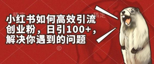 小红书如何高效引流创业粉，日引100+，解决你遇到的问题【揭秘】-腾渊论坛