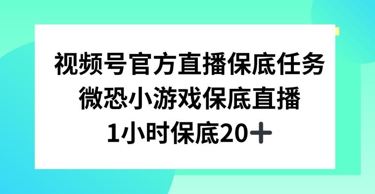 视频号直播任务，微恐小游戏，1小时20+【揭秘】-腾渊论坛