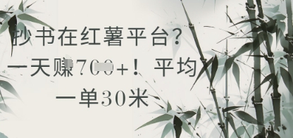 抄书在小红薯平台？平均一单30米，一天收益几张！-腾渊论坛