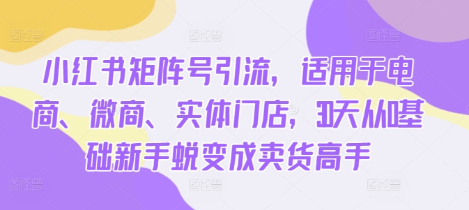 小红书矩阵号引流，适用于电商、微商、实体门店，30天从0基础新手蜕变成卖货高手-腾渊网创