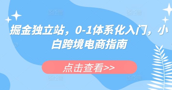掘金独立站，0-1体系化入门，小白跨境电商指南-腾渊论坛
