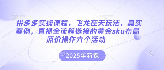 拼多多实操课程，飞龙在天玩法，真实案例，直播全流程链接的黄金sku布局原价操作六个活动-腾渊网创