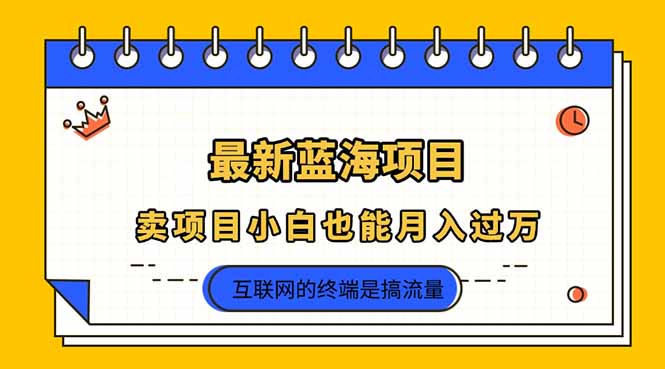 2025年最新蓝海项目，卖项目小白也能月入过万-腾渊论坛