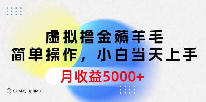 (9864期)虚拟撸金薅羊毛，简单操作，小白当天上手，月收益5000+-腾渊论坛