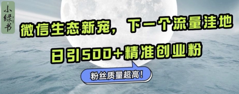 微信生态新宠小绿书：下一个流量洼地，日引500+精准创业粉，粉丝质量超高-腾渊网创
