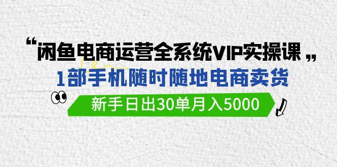 (9547期)闲鱼电商运营全系统VIP实战课，1部手机随时随地卖货，新手日出30单月入5000-腾渊网创