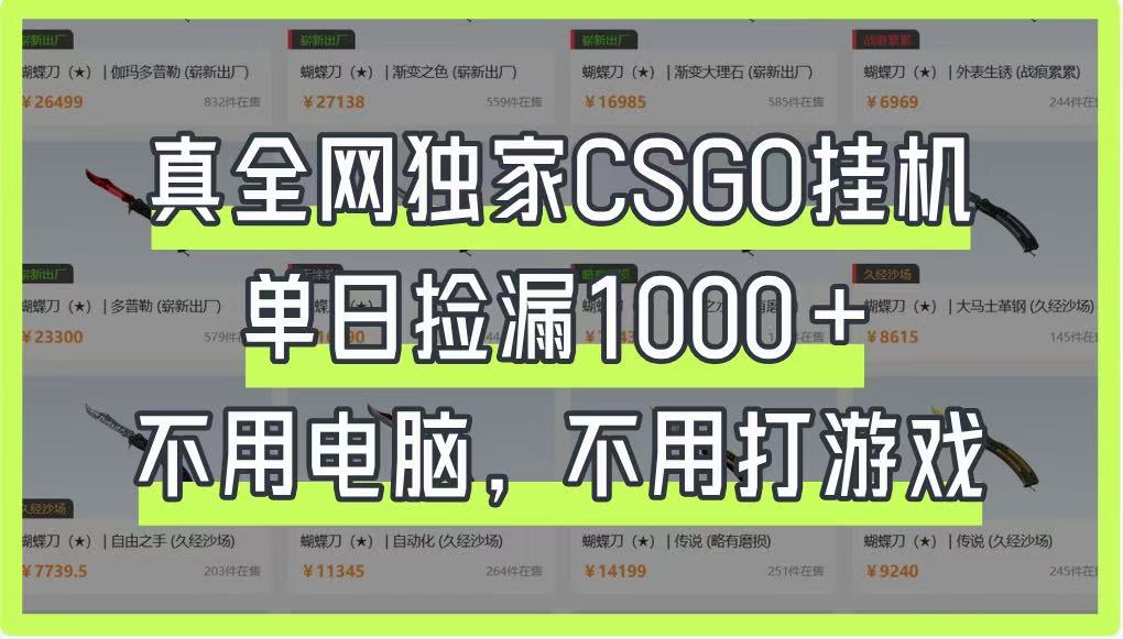 真全网独家CSGO挂机，单日捡漏1000+，不用电脑，不用养号-腾渊网创