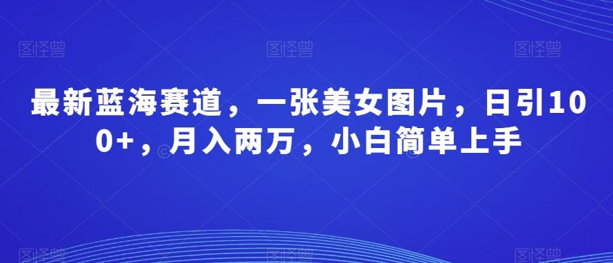 最新蓝海赛道，一张美女图片，日引100+，月入两万，小白简单上手-腾渊论坛