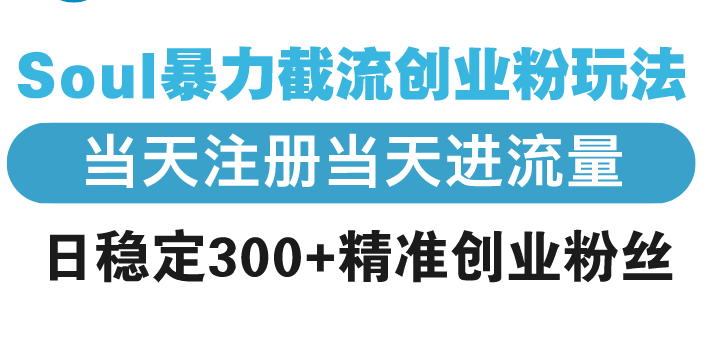 Soul暴力截流创业粉玩法，当天注册当天进流量，日稳定300+精准创业粉丝-腾渊网创