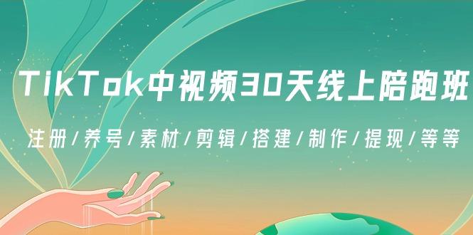 TikTok中视频-30天线上陪跑班：注册/养号/素材/剪辑/搭建/制作/提现/等等-腾渊网创