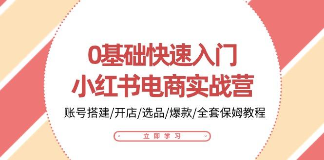 0基础快速入门-小红书电商实战营：账号搭建/开店/选品/爆款/全套保姆教程-腾渊论坛