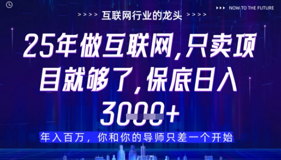 什么！25年你还在找项目做？风口早就变了，卖项目才是稳挣不赔【揭秘】-腾渊论坛