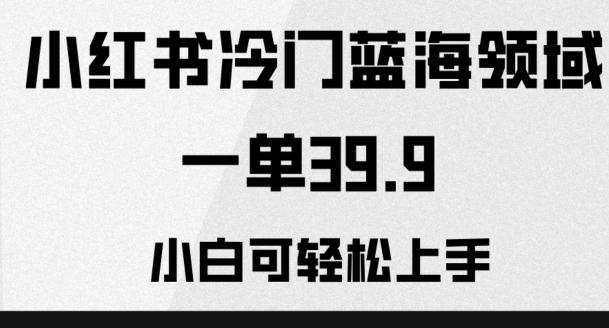 小红书冷门蓝海领域，一单39.9，小白可轻松上手-腾渊网创