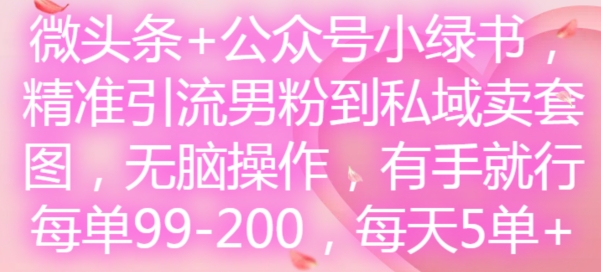 微头条+公众号小绿书，精准引流男粉到私域卖套图，无脑操作，有手就行，每单99-200，每天5单-腾渊网创
