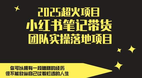 2025超火项目，副业最佳选择，小红书笔记带货团队实操落地项目，，轻松日入5张-腾渊网创