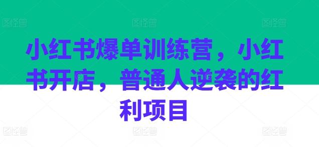 小红书爆单训练营，小红书开店，普通人逆袭的红利项目-腾渊网创