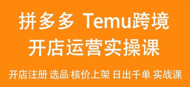 2024Temu最新玩法，Temu跨境开店运营实操课，开店注册/选品/核价上架/日出千单实战课-腾渊网创