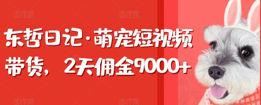 东哲日记·萌宠短视频带货，2天佣金9000+-腾渊网创