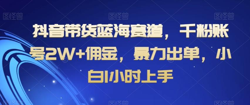 抖音带货蓝海赛道，千粉账号2W+佣金，暴力出单，小白1小时上手【揭秘】-腾渊网创