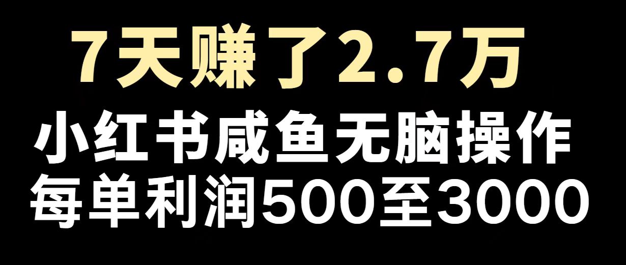 最赚钱项目之一，2025爆火，逆风翻盘！-腾渊论坛
