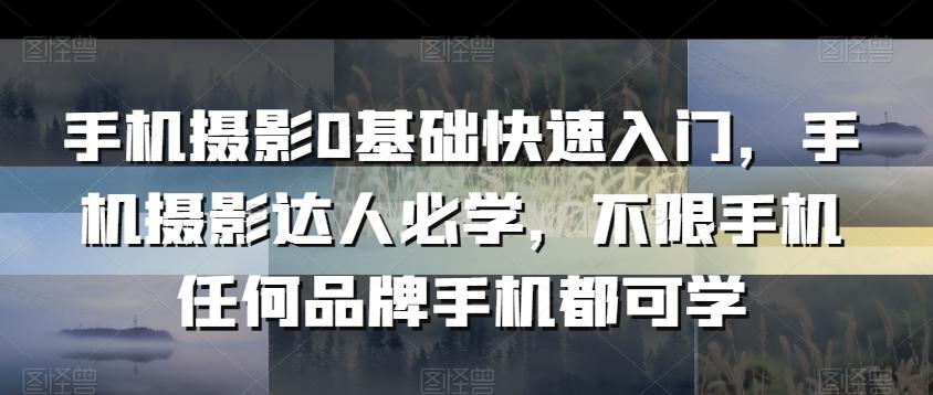 手机摄影0基础快速入门，手机摄影达人必学，不限手机任何品牌手机都可学-腾渊论坛