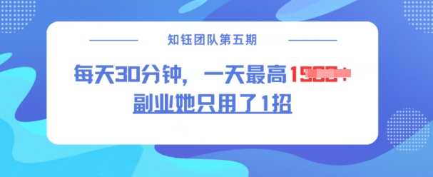 副业她只用了1招，每天30分钟，无脑二创，一天最高1.5k-腾渊论坛