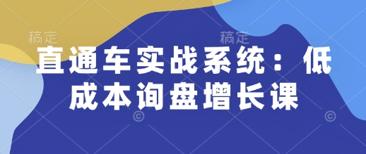 直通车实战系统：低成本询盘增长课，让个人通过技能实现升职加薪，让企业低成本获客，订单源源不断-腾渊网创