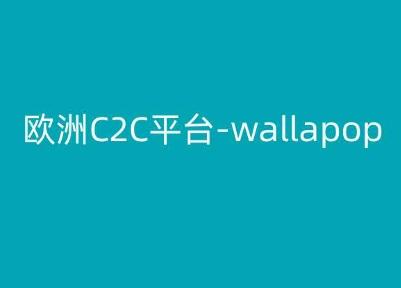 欧洲C2C平台-wallapop-kim跨境电商教程-腾渊网创