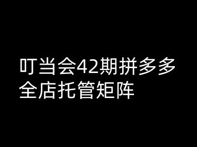 叮当会拼多多打爆班原创高阶技术第42期，拼多多全店托管矩阵-腾渊网创