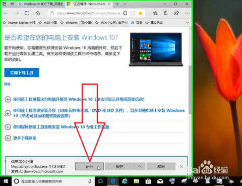 安装windows10 浏览器下载-腾渊论坛