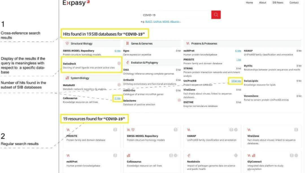 服务器选择攻略详细解读：匹配网站 SEO 需求-腾渊论坛