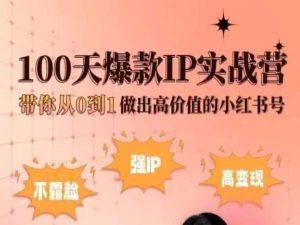小红书100天爆款IP实战营，带你从0到1做出高价值的小红书号-腾渊网创