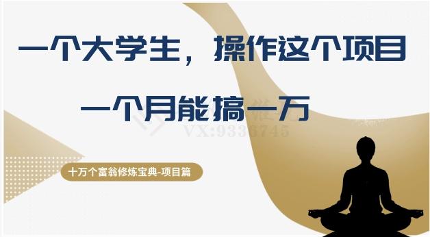 十万个富翁修炼宝典之4.一个大学生操作这个项目，一个月能搞一万-腾渊论坛