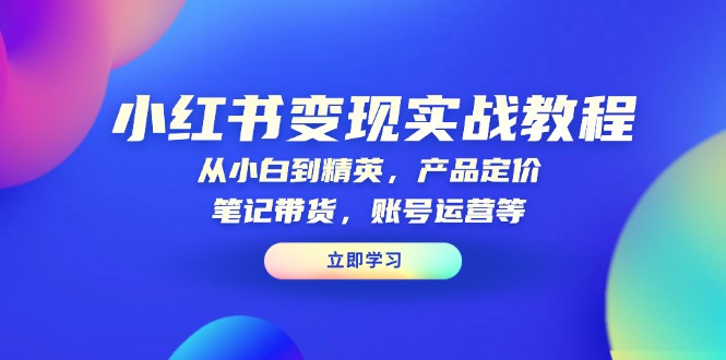 小红书变现实战教程：从小白到精英，产品定价，笔记带货，账号运营等-腾渊网创
