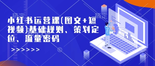 小红书运营课(图文+短视频)基础规则、策划定位、流量密码-腾渊论坛