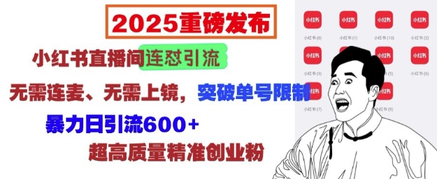 2025重磅发布：小红书直播间连怼引流，无需连麦、无需上镜，突破单号限制，暴力日引流600+-腾渊网创