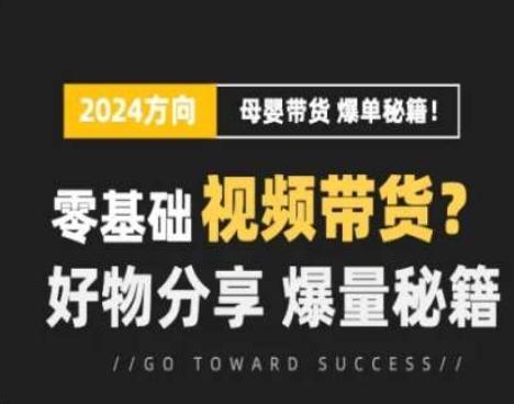 短视频母婴赛道实操流量训练营，零基础视频带货，好物分享，爆量秘籍-腾渊网创