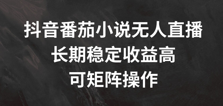抖音番茄小说无人直播，长期稳定收益高，可矩阵操作【揭秘】-腾渊网创