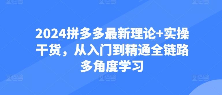 2024拼多多最新理论+实操干货，从入门到精通全链路多角度学习-腾渊论坛