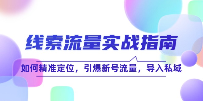 线 索 流 量-实战指南：如何精准定位，引爆新号流量，导入私域-腾渊网创