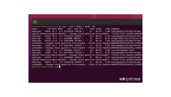 Linux 中如何查看和管理 CPU 使用情况-腾渊论坛