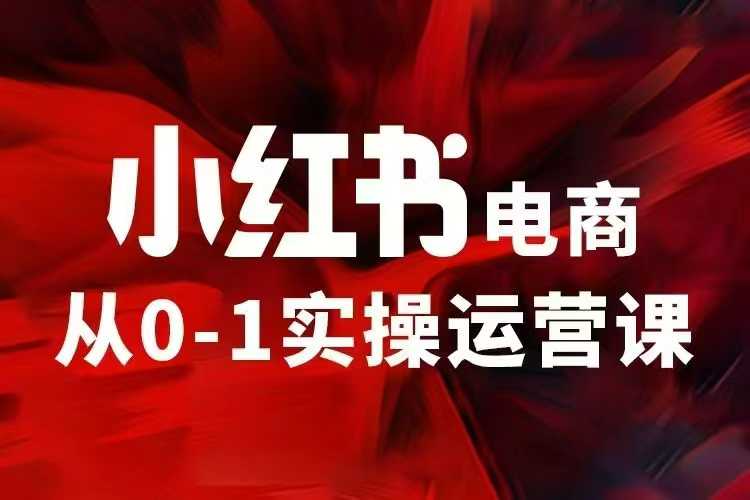 小红书电商运营，97节小红书vip内部课，带你实现小红书赚钱-腾渊网创
