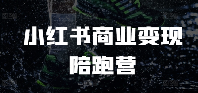 小红书商业变现陪跑营，小红书电商教程-腾渊网创