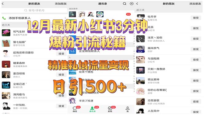 12月最新小红书3分钟爆粉引流秘籍 精准私域流量变现 日引500+-腾渊网创