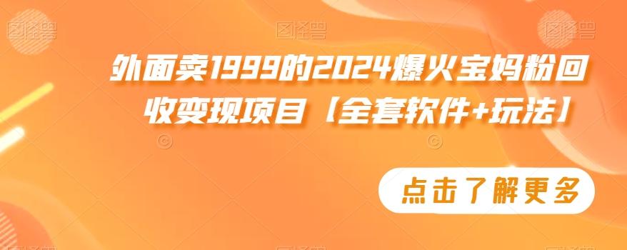 外面卖1999的2024爆火宝妈粉回收变现项目【全套软件+玩法】【揭秘】-腾渊网创