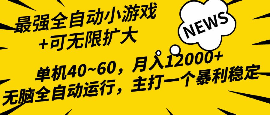(10046期)2024最新全网独家小游戏全自动，单机40~60,稳定躺赚，小白都能月入过万-腾渊论坛