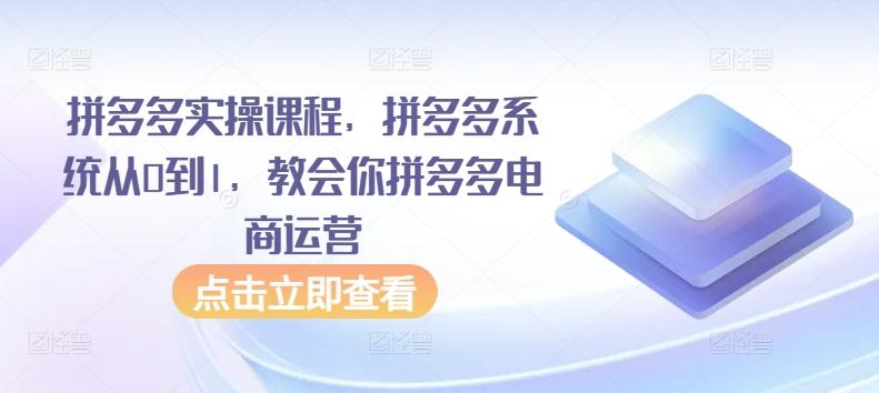 拼多多实操课程，拼多多系统从0到1，教会你拼多多电商运营-腾渊论坛