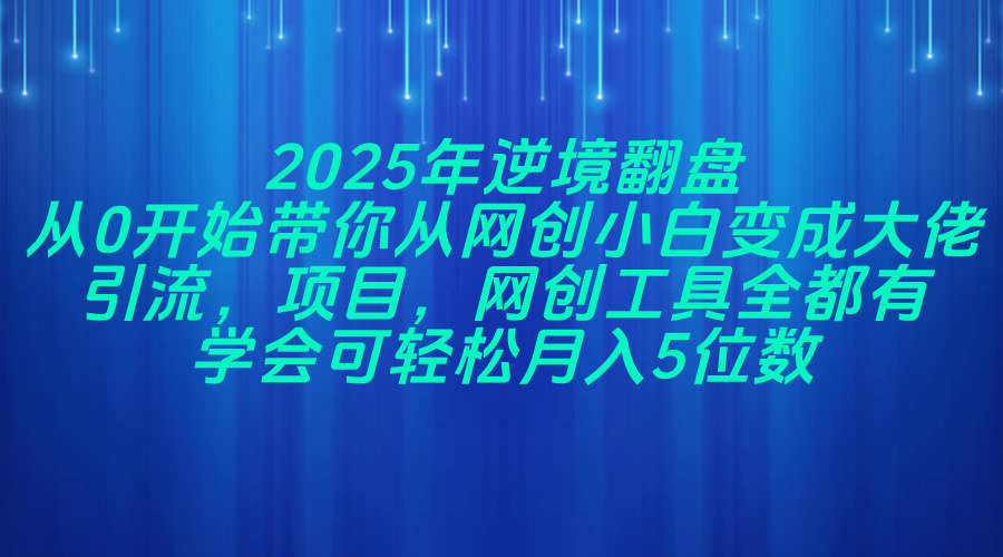 2025年逆境翻盘，从0开始带你从网创小白变成大佬，引流，项目，网创工...-腾渊网创