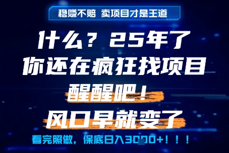 什么？25年你还在疯狂找项目做，醒醒吧，看完这些你全都懂了！【揭秘】-腾渊论坛